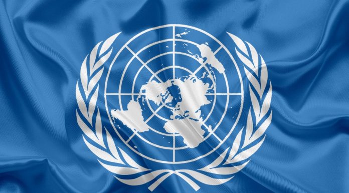 Нақши Созмони Милали Муттаҳид дар таҳкими сулҳу амният дар қаринаи таҳдидот ва мушкилоти имрӯза