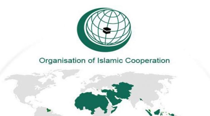 Тоҷикистон – Созмони Ҳамкориҳои Исломӣ (сҳи): таърихи мухтасар: вазъи кунунӣ ва дурнамои ҳамкориҳо