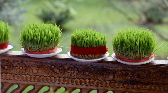 НАВРЎЗ – ҶАШНИ МИЛЛИИ ТОҶИКОН