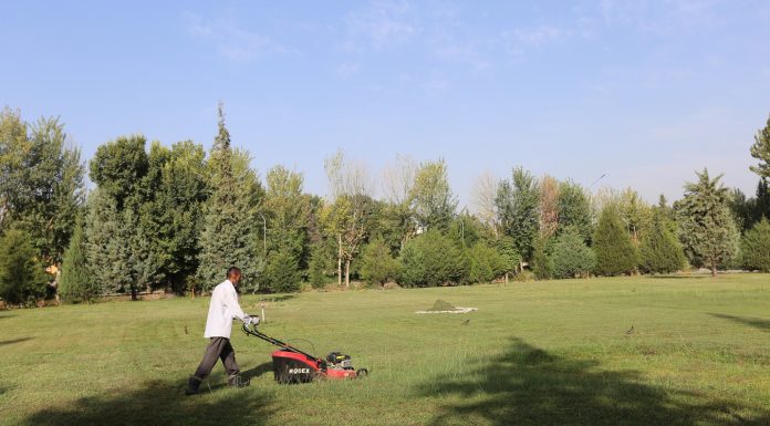 ТОЗАГӢ ДАР МУАССИСА