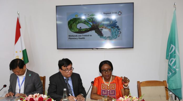 GLACIER PRESERVATION — A VITAL MISSION FOR HUMANITY