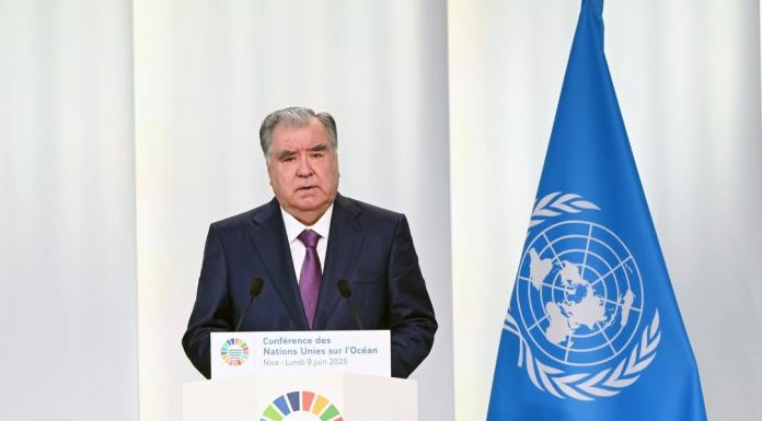 PROMOTION OF THE INITIATIVE DIPLOMACY OF THE LEADER OF THE NATION IN THE INTERNATIONAL AREA