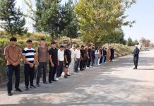 МАШҒУЛИЯТҲО ДАР ДОИРАИ ДАРСҲОИ КАФЕДРАИ ТАРБИЯИ ҶИСМОНӢ ВА ВАРЗИШИ ДМТ