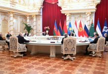 CENTRAL ASIA – RUSSIA SUMMIT AS A STRATEGICAL DIALOGUE PLATFORM