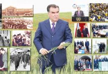 ЭМОМАЛӢ РАҲМОН — МЕЪМОРИ СИЁСАТИ ХОРИҶИИ ТОҶИКИСТОН ВА ОМИЛИ ШИНОХТИ БАЙНАЛМИЛАЛИИ МИЛЛАТ