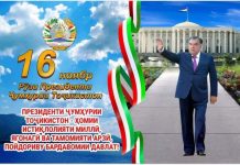 НАҚШИ ПЕШВОИ МИЛЛАТ ДАР ТАҲКИМИ ДАВЛАТДОРИИ МИЛЛӢ